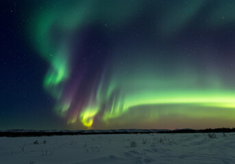 Naklejka premium Breathtaking Aurora Borealis Lights Dance Across Arctic Night Sky Above Snowy Landscape