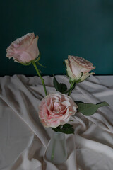 Minimalist arrangement of peach roses in a white vase