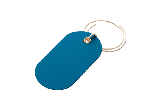 A single oval shaped blue plastic tag attached to a silver metal keyring isolated on transparent background