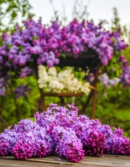 Lilacs on rustic wood