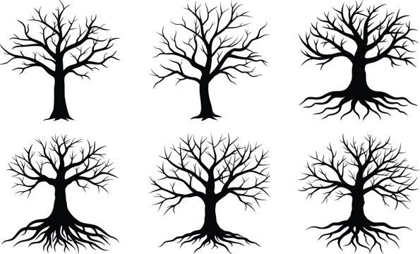 Vector art of set of six bare trees with visible roots in silhouette, , symbolizing nature and growth