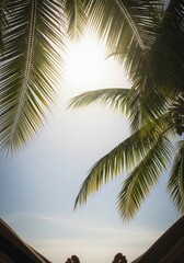 Feet in Hammock Under Palm Trees: Tropical Relaxation