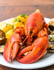 Lobster, clams, and potatoes on a plate