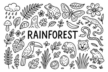 Rainforest doodles: diverse wildlife and plants in a playful line art style