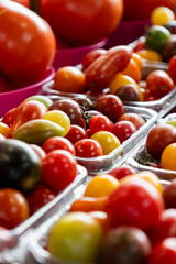 red and yellow colourful tomatoes