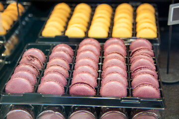 Macarons in the window