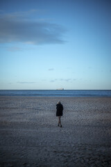 A solitary woman in a black fur coat walking on a deserted winter beach with a ship on the horizon.