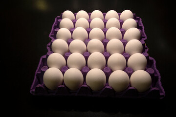 Fresh Eggs