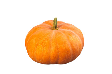 Orange Pumpkin