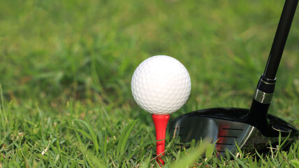Close-Up of Golf Ball on Tee with Club Ready for Swing Action