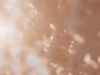 Soft Peach Blossom Background Spring Flowers