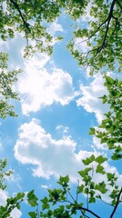 Fototapeta premium Upward view of leafy branches framing a vibrant blue sky dotted with fluffy white clouds and sunlight