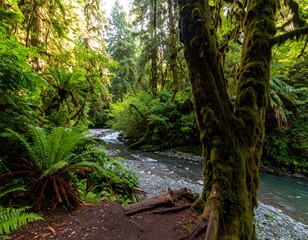 Lush forest stream scene (1)
