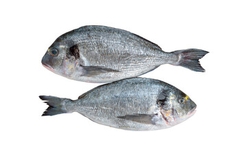 Two raw dorado fish isolated transparent png top view