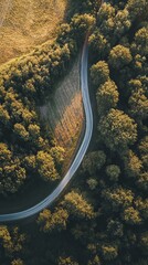 Fototapeta premium Winding road through a lush forest, aerial view