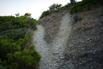 Dirt fork in the road paths, one path going up and other going down