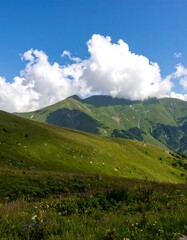 Lush green mountain meadow under a vibrant blue sky