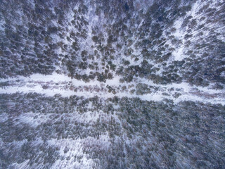Aerial View of Snow Covered Forest Near Berezivka in Winter