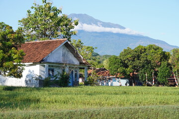 a mountain range over a village with rice fields