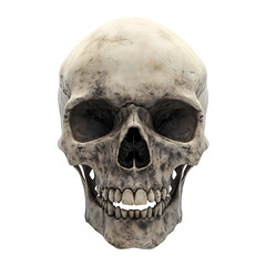 Fototapeta premium Detailed 3D Render of Human Skull, Anatomy, Halloween, Death, Mortality, Forensics, Medicine, Science, Horror, Gothic