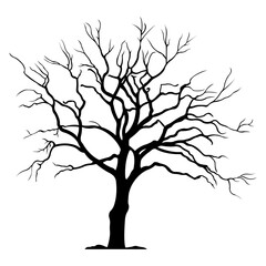 Silhouette of a tree without leaves. Vector illustration.