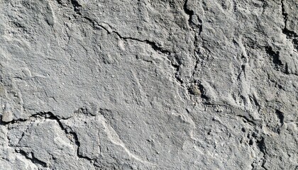 A close-up view of a weathered gray stone surface, showing intricate patterns of cracks and texture.