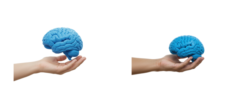 Exploring cognitive science blue brain models in human hands studio setting 3d rendered visualization isolated set PNG
