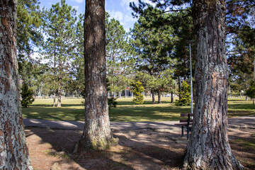 Fototapeta premium São José dos Pinhais Park with signs, green trees, lake and natural beauty on a beautiful sunny day in São José dos Pinhais, Paraná, Brazil