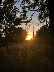 Sunset through the trees 