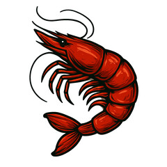 エビのビンテージ風素材