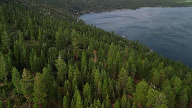 USA Aerial - Lake Taho pine forest in July , Nevada and California border area	
