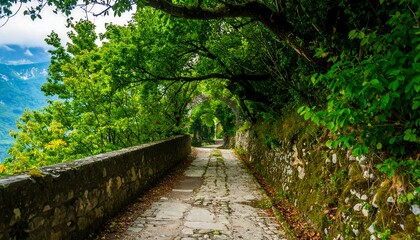 Obraz premium A scenic pathway winds through a lush green forest, lined with ancient stone walls and offering a view of distant mountains.