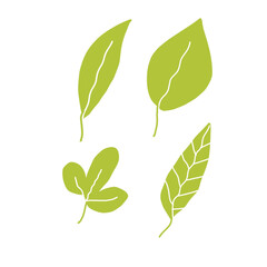 set of green leaves