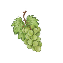 Vineyards stretch for miles with high quality detailed illustration creative visual content suitable for Adobe Stock, commercial use, artistic projects and digital design inspiration