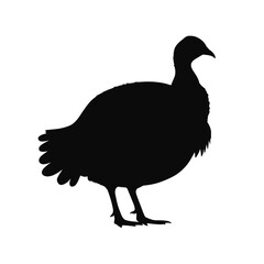 Silhouette of a turkey bird in profile view, detailed vector illustration

