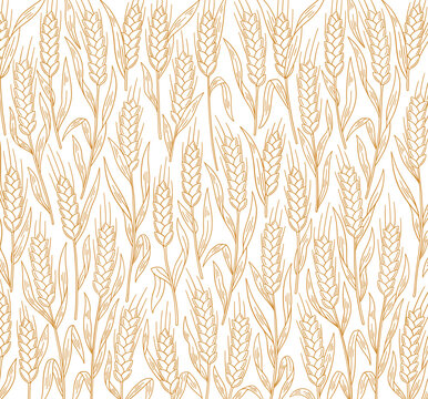 Cereal wheat pattern background. Ears of wheat, rye or barley. Wrapping paper for bread.