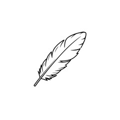 Serenity of a Feather in the Sky