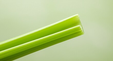 Close-up of fresh green celery stalks against a soft, light green backdrop, highlighting their crisp texture and vibrant color.