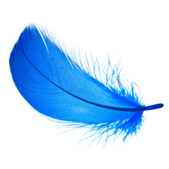 blue feather on a transparent isolated background. png 