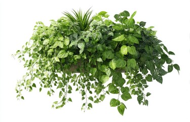 Lush green planter box overflowing with diverse foliage