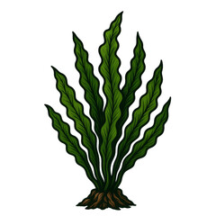 わかめのヴィンテージ素材