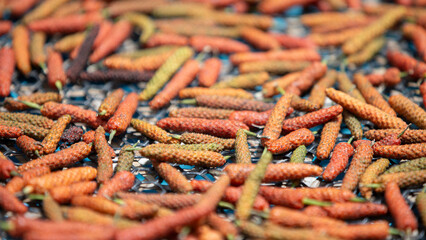 close up of Long pepper 