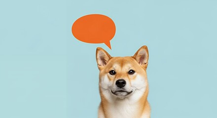 Cute Shiba Inu Dog with Orange Speech Bubble on Light Blue Background