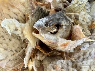 Closeup of dried fish remains with scales bones and skin after cleaning and processing