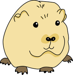 Little mouse is cute.