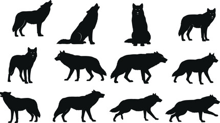 Wolf silhouettes in various poses, howling, standing, walking, sitting, isolated on white background, perfect for wildlife, nature, animal design, vector art, branding, and illustrations.