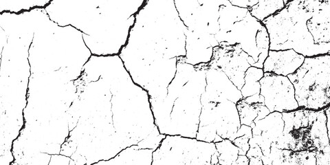 Black and White Abstract Cracked Grunge Texture Vector Background