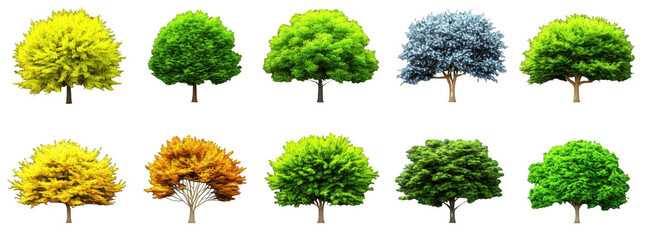 Fototapeta premium Collection of realistic tree images showcasing various colors and shapes, including vibrant yellow, green, and blue foliage, perfect for nature themed projects