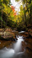 Obraz premium Autumn forest stream