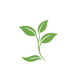 Leaf Logo Template vector symbol nature
